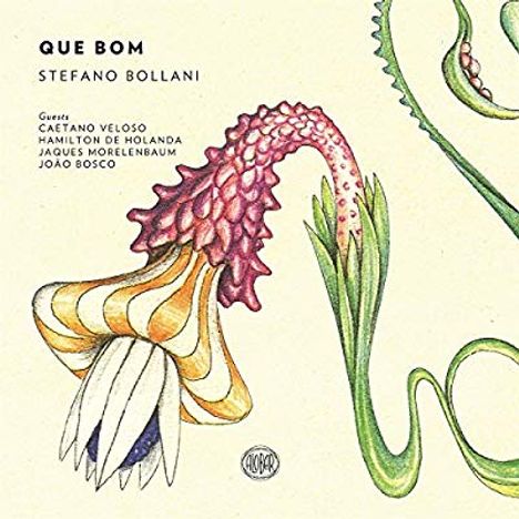 Stefano Bollani (geb. 1972): Que Bom, 2 LPs