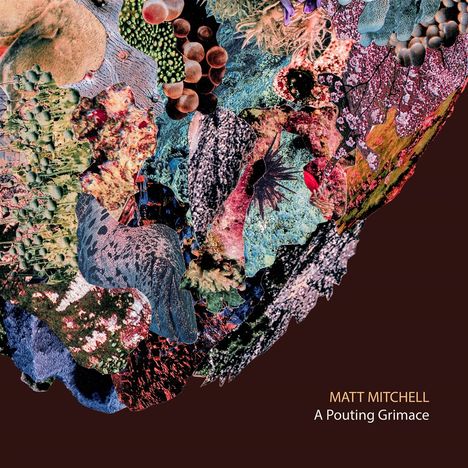 Matt Mitchell (geb. 1975): Pouting Grimace, CD