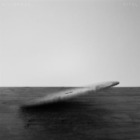 Big Brave: Vital, CD