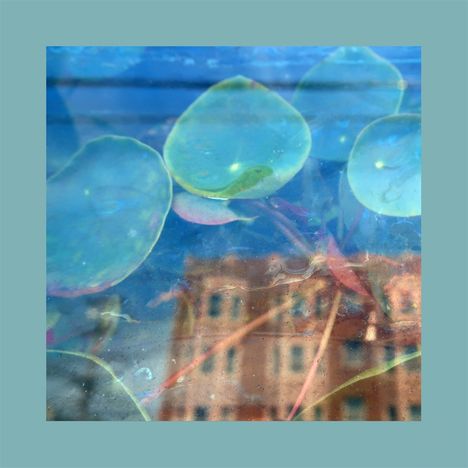 Illustration zeigt Seerosenblätter auf Wasseroberfläche mit Spiegelung eines Backsteingebäudes im Hintergrund.