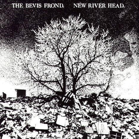 The Bevis Frond: New River Head, 2 LPs