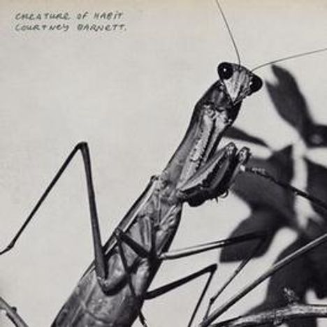 "CREATURE OF HABIT COURTNEY BARNETT." Eine Nahaufnahme einer Gottesanbeterin, monochrom, auf einem Blatt.