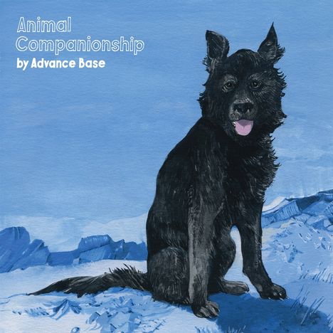 Advance Base: ANIMAL COMPANIONSHIP (Clear Vinyl), LP