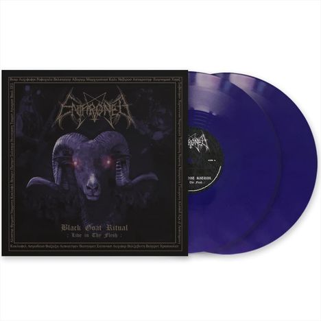 "Black Goat Ritual: Live in Thy Flesh." Eine Schallplattenhülle mit einem Gehörnten, violette Vinylplatten sichtbar.