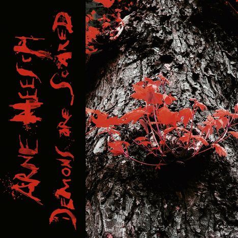 Arne Heesch: Demons Are Scared, 1 LP und 1 CD