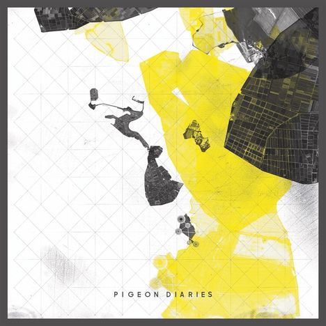Enablers: Pigeon Diaries, LP