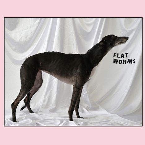 Flat Worms: Flat Worms, CD