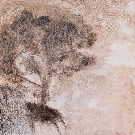 Ein grobkörniges Gemälde eines Baumes mit dunklem Laub auf einer verblassten, hellen Fläche.