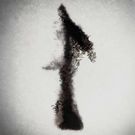 Es gibt keine Texte. Eine dunkle, abstrakte Form ähnelt einem Baum oder einer Federstruktur auf hellem Hintergrund.