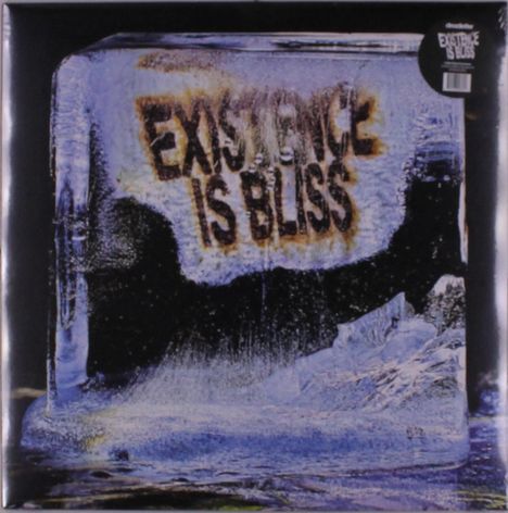 „EXISTENCE IS BLISS“ steht in großen Buchstaben auf einem vereisten Block.