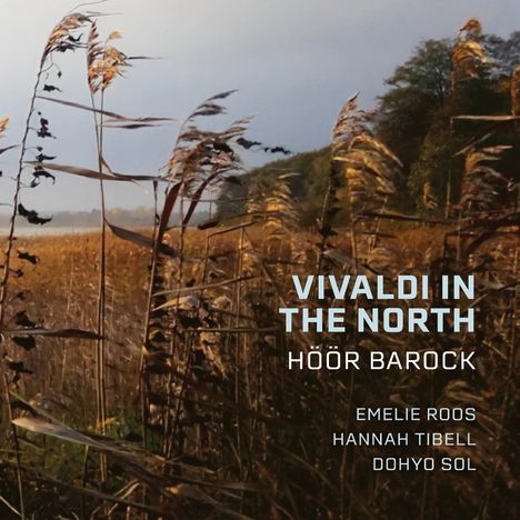 Antonio Vivaldi (1678-1741): Verschiedene Konzerte - "Vivaldi in the North", CD