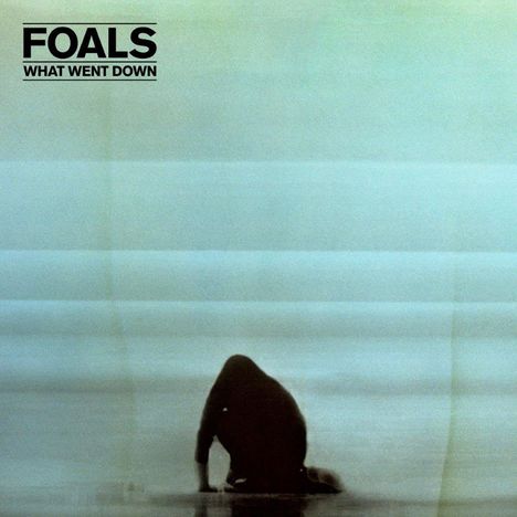 Foals: What Went Down, CD