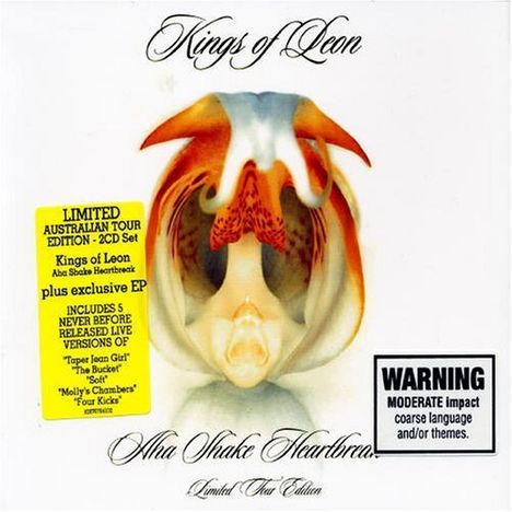 Kings Of Leon: Aha Shake Heartbrake, 2 CDs