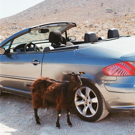 Ein Cabrio steht in einer trockenen, steinigen Landschaft. Eine Ziege lehnt an der Seite des Autos.
