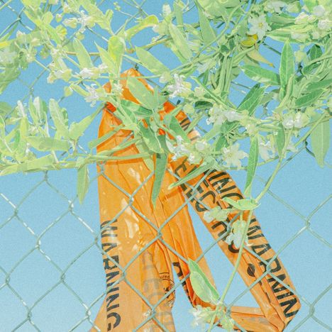 Text: "WARNING". Orangene Warnbänder hängen an einem Maschendrahtzaun, umgeben von blühenden Zweigen vor blauem Himmel.