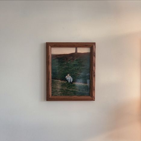 Kein Text vorhanden. Ein gerahmtes Foto an der Wand zeigt eine Person, die auf einer grünen Wiese sitzt.