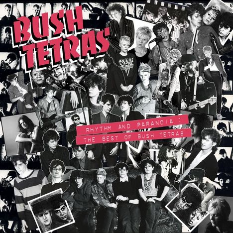 Bush Tetras: Rhythm And Paranoia: The Best Of Bush Tetras, 2 CDs