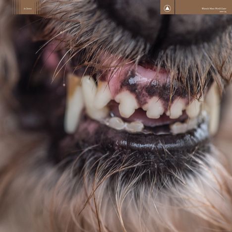 Blanck Mass: World Eater (Limited Edition) (Clear with Red Splatter Vinyl), LP