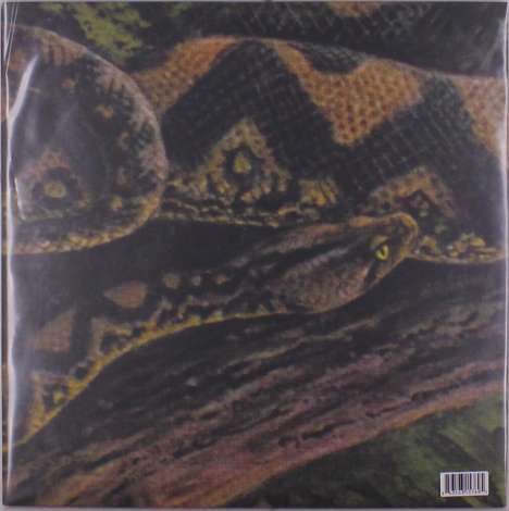 Rainforest Spiritual Enslavement: Ambient Black Magic, 3 LPs