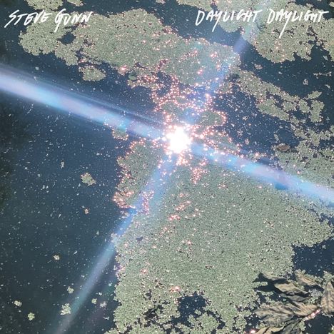 Steve Gunn: Daylight Daylight, LP