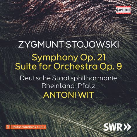 Sigismond Stojowski (1870-1946): Symphonie op.21, CD