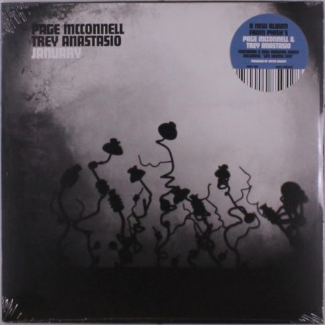 Page McConnell & Trey Anastasio: January, LP