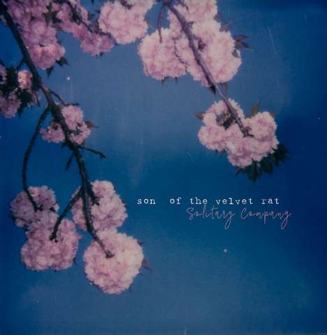 Son Of The Velvet Rat: Solitary Company, CD