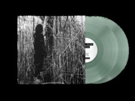 Billy Woods: Today, I Wrote Nothing (10 Year Anniversary Reissue) (Light Green Transparent Vinyl), 2 LPs