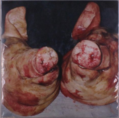 Zwei Schweineköpfe mit blutigen Stellen auf dunklem Hintergrund nebeneinander liegend.