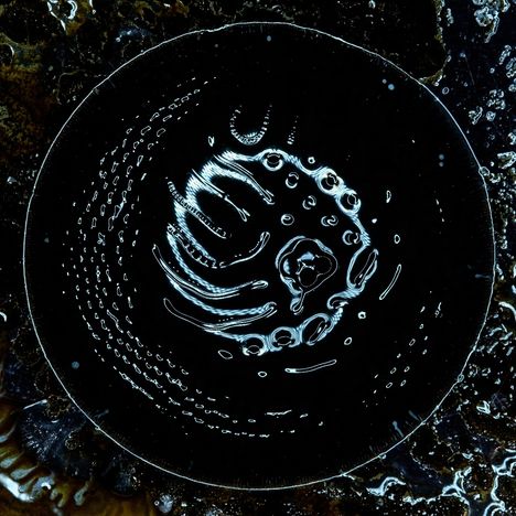 Unregelmäßige weiße Linien und Kreise auf schwarzem Hintergrund, scheinen eine abstrakte Form zu bilden.