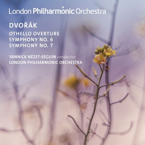 Antonin Dvorak (1841-1904): Symphonien Nr.6 &amp; 7, 2 CDs