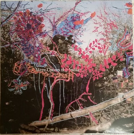 Animal Collective: Here Comes The Indian, LP