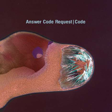 Answer Code Request: Code, CD