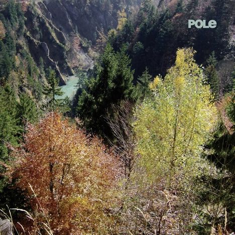 Pole: Wald, CD