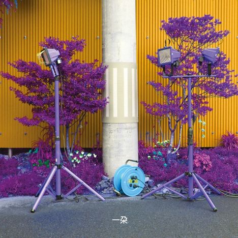 Eiko Ishibashi & Darin Gray: Ichida, LP