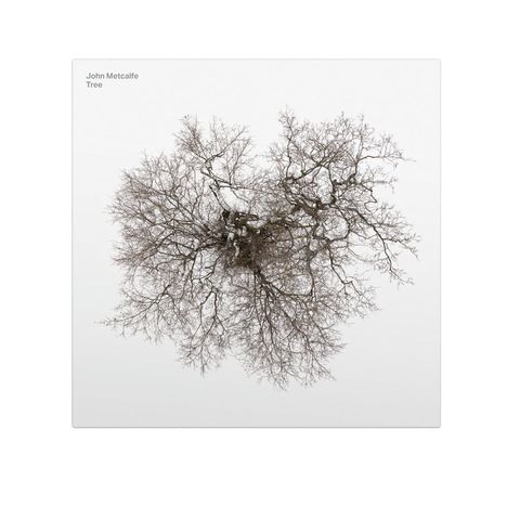 John Metcalfe (geb. 1964): Tree, CD