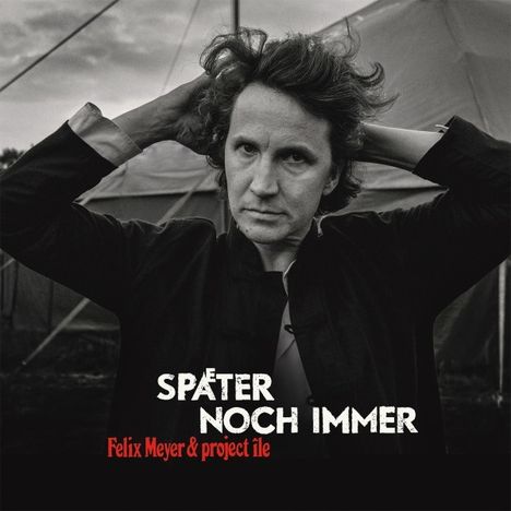 Felix Meyer: Später noch immer (180g), 2 LPs