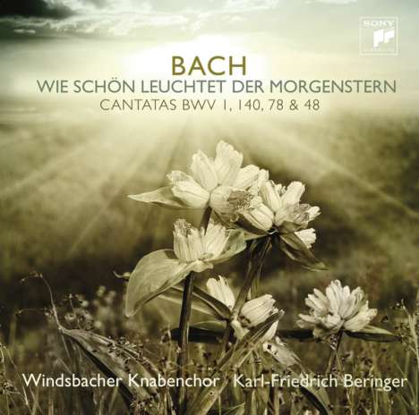 Johann Sebastian Bach (1685-1750): Kantaten BWV 1,48,78,140, CD