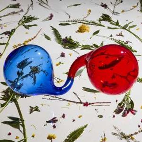 Dirty Projectors: Lamp Lit Prose (180g) (Limited-Edition) (Colored Vinyl), LP