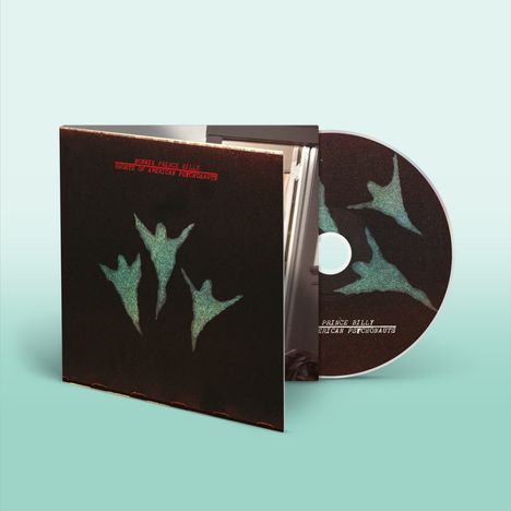 Texte: "BONNIE PRINCE BILLY", "GHOSTS OF AMERICAN PSYCHONAUTS". CD mit grünen, fliegenden Engel-Silhouetten auf dunklem Hintergrund.