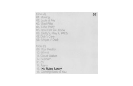 Sylvan Esso: No Rules Sandy (Limited Indie Retail Exclusive) (Evergreen Vinyl), LP