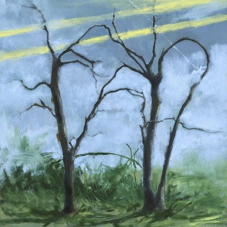 Zwei kahle Bäume auf grünem Grund vor blauem Himmel mit gelben Wolkenstrichen.