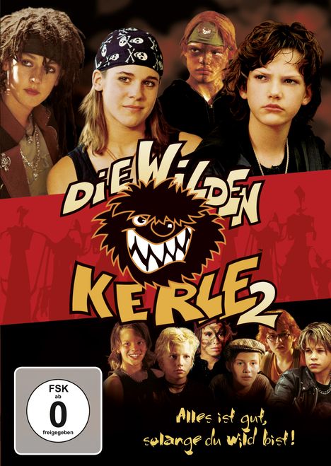 Die wilden Kerle 2, DVD