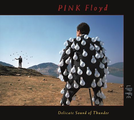 Pink Floyd: Delicate Sound Of Thunder: Live, 2 CDs