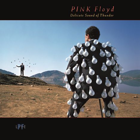 Pink Floyd: Delicate Sound Of Thunder: Live (remastered) (180g), 2 LPs