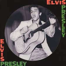 Elvis Presley (1935-1977): Elvis Presley 1st Album (180g) (Picure Disc), LP