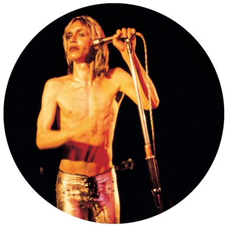 Iggy Pop: More Power (Picture Disc), LP