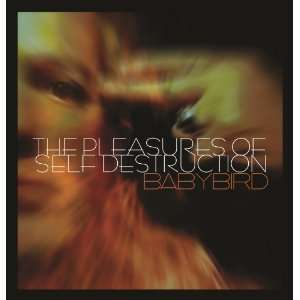 Babybird: The Pleasure Of Self Destruction, CD