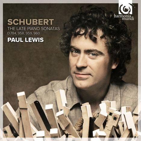 Franz Schubert (1797-1828): Klaviersonaten D.784, 958, 959, 960, 2 CDs