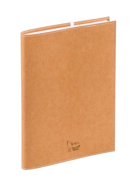 Minister VZ Nelies 2026, Buch